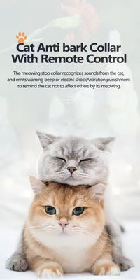 Premium Cat Training Collar with Remote Control