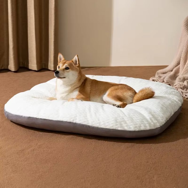 Dog Bed with Plush Memory Foam Cushion