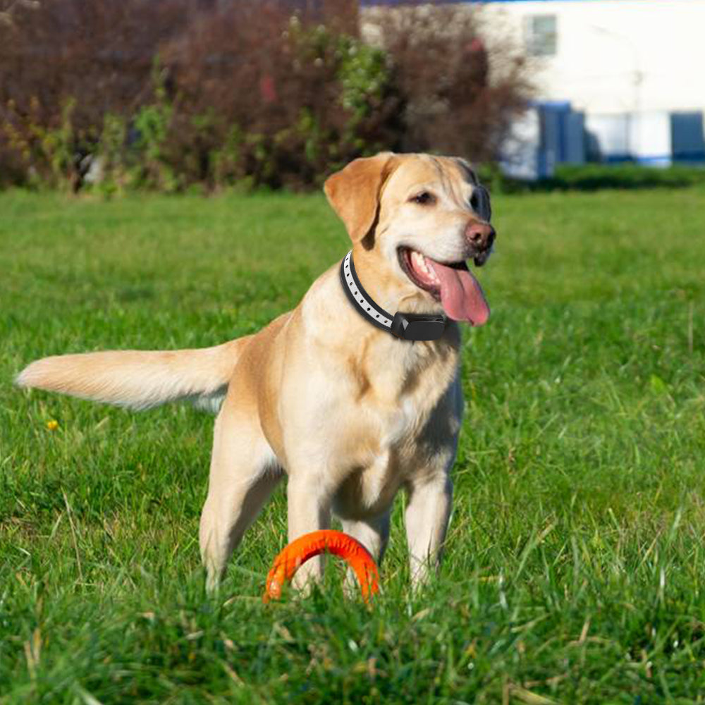 Wireless Dog Fence Containment System - PTZ 862