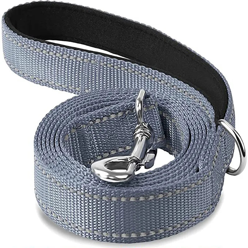 Reflective Dog Leash with Strengthened Clasp