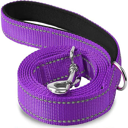 Reflective Dog Leash with Strengthened Clasp