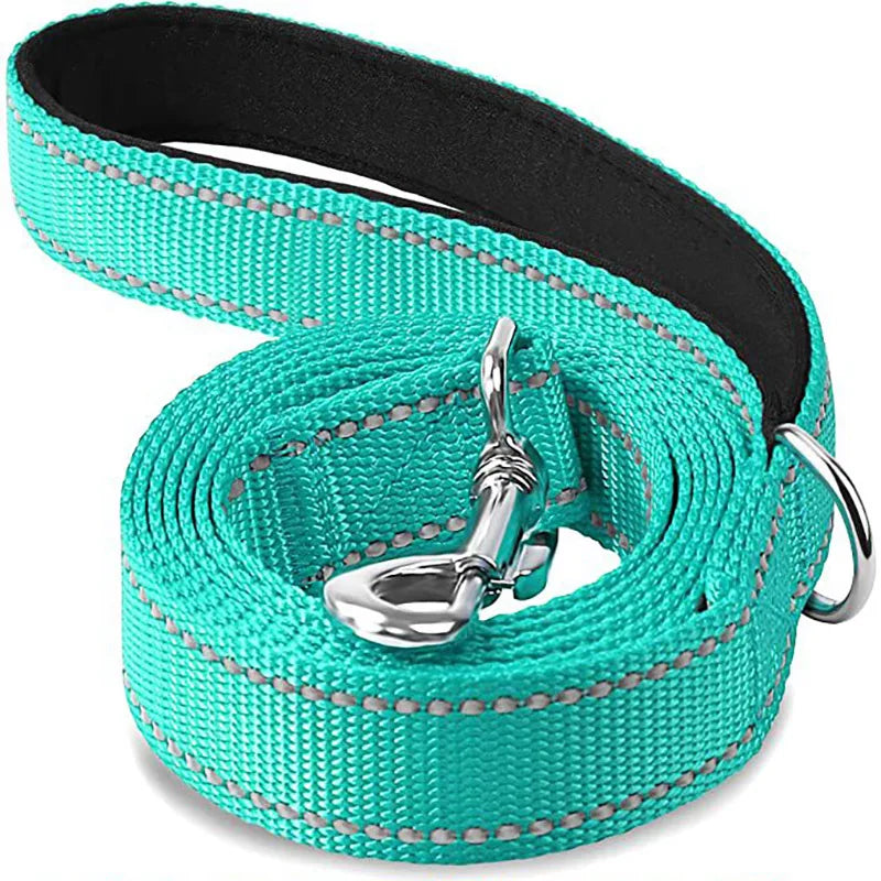 Reflective Dog Leash with Strengthened Clasp