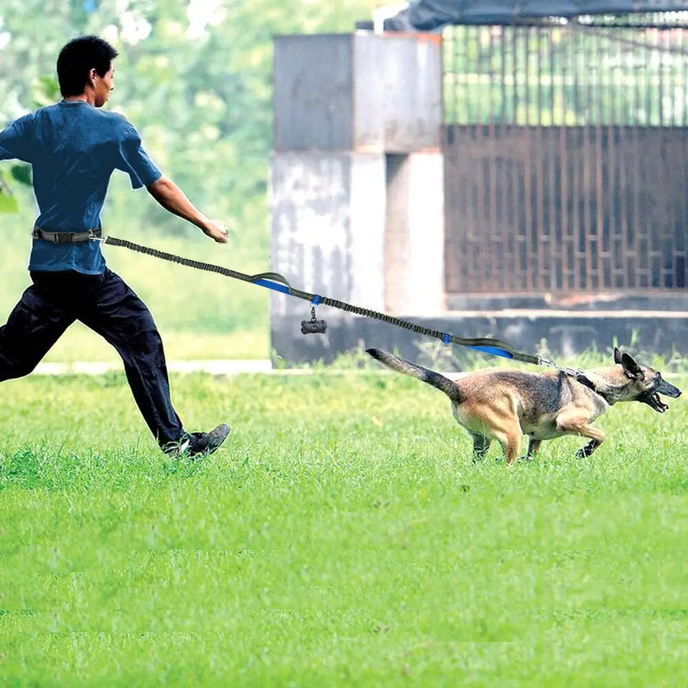 Hands-Free Dog Running Leash with Dual Bungees