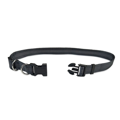 Hands-Free Dog Running Leash with Dual Bungees