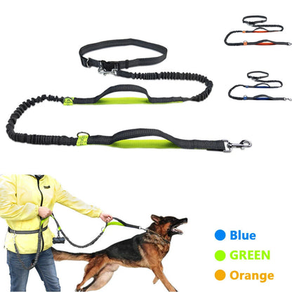 Hands-Free Dog Running Leash with Dual Bungees