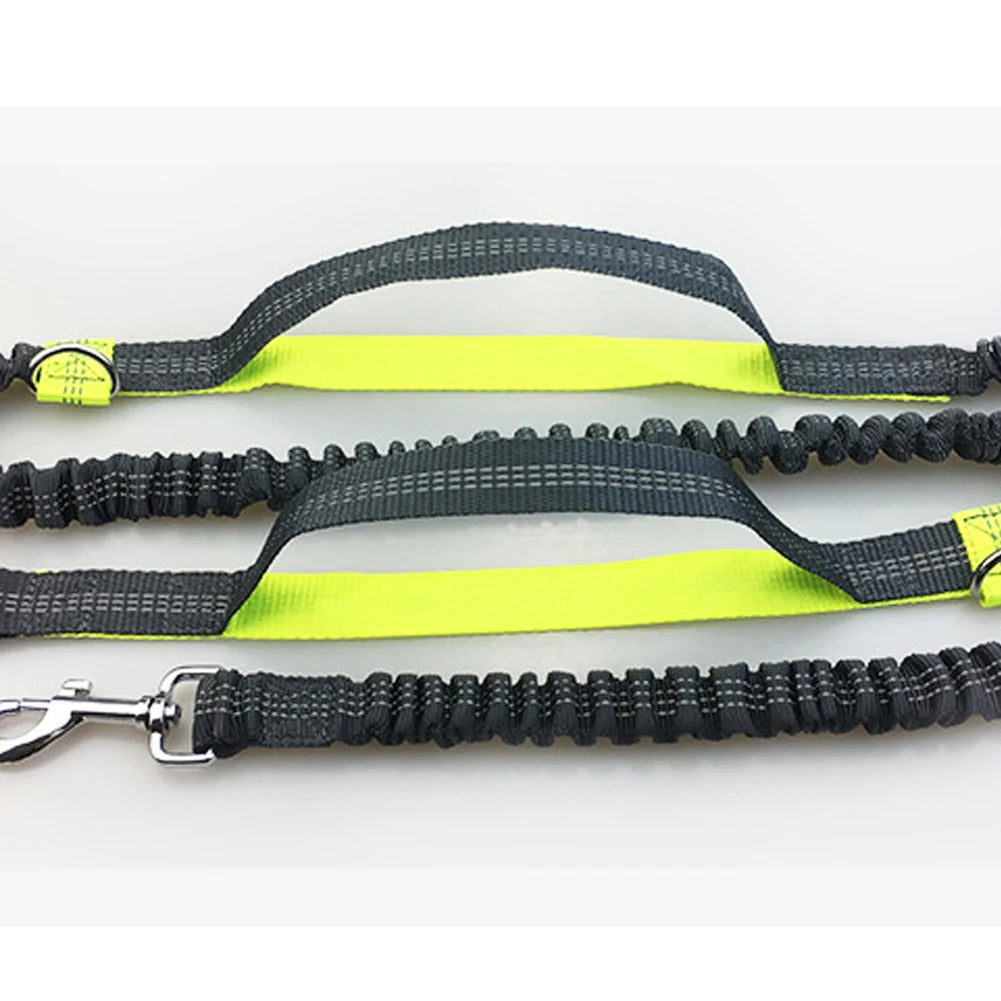 Hands-Free Dog Running Leash with Dual Bungees