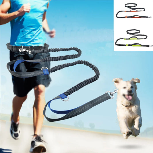 Hands-Free Dog Running Leash with Dual Bungees