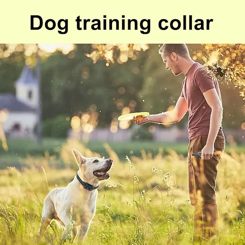 Rechargeable Waterproof Dog Training Collar