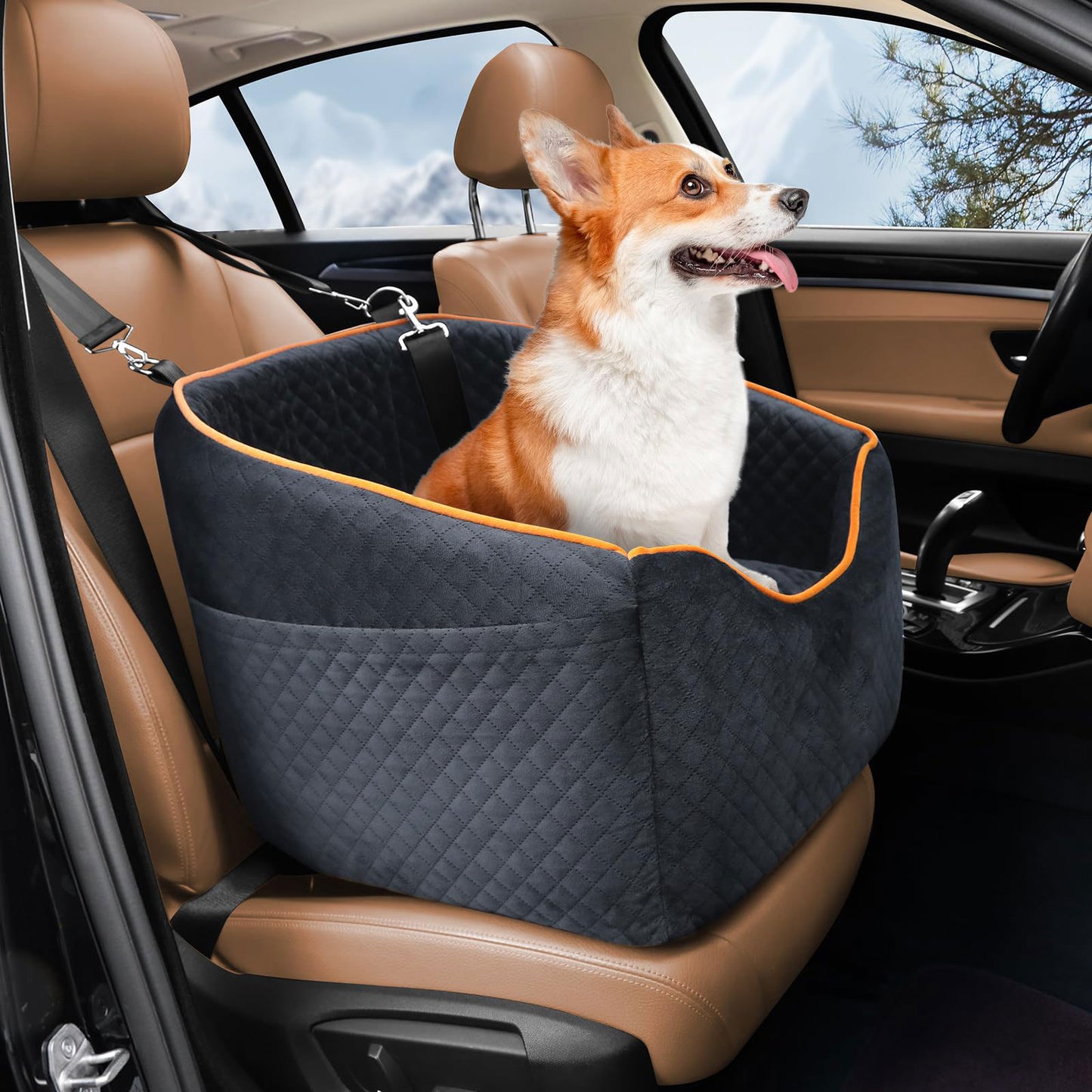 Elevated Dog Booster Seat for Car Travel