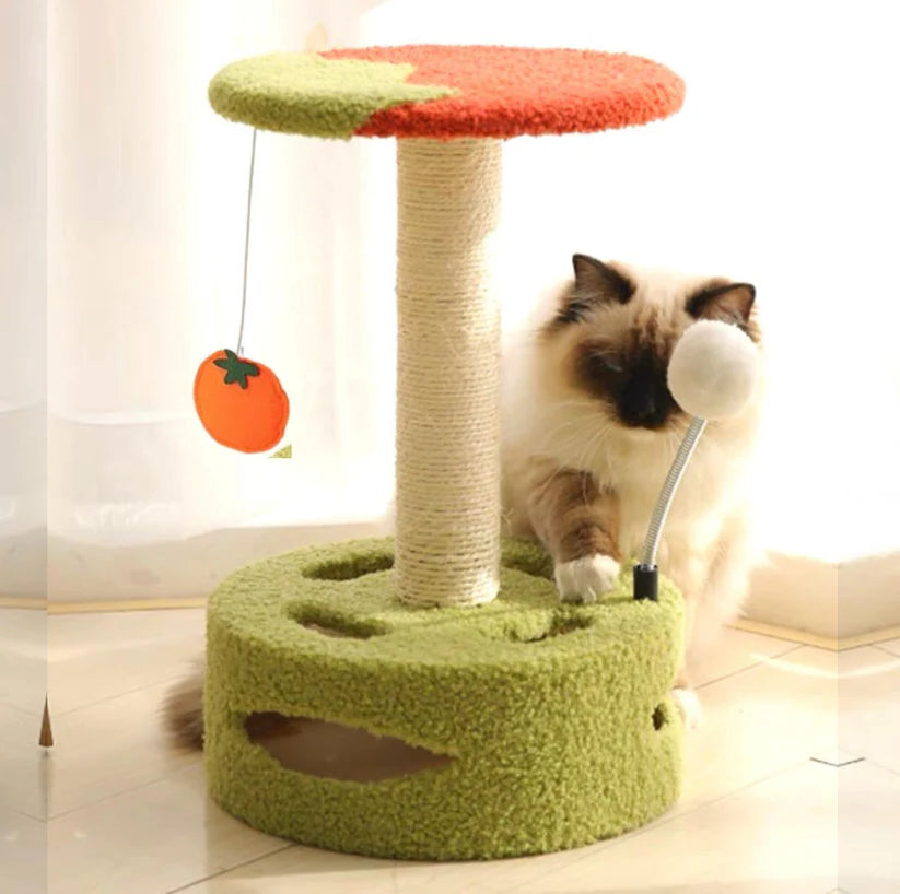 Playful Cat Scratching Post