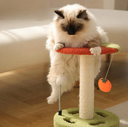 Playful Cat Scratching Post