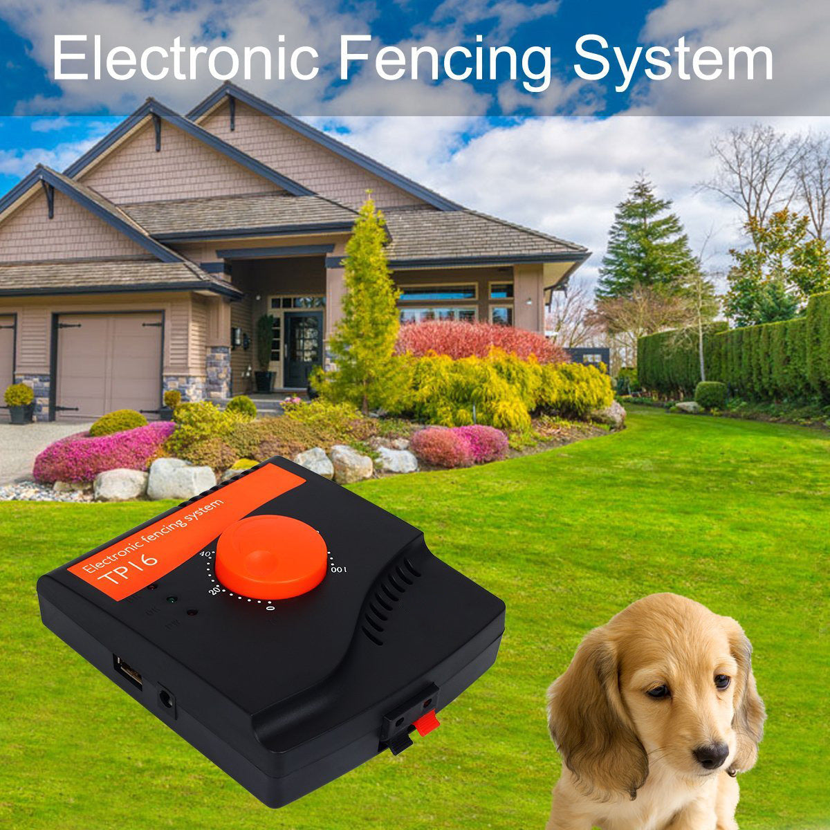 Reliable Electronic Dog Fence Containment System