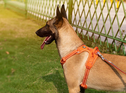 True Love No-Pull Nylon Reflective Dog Harness