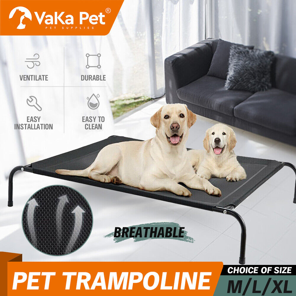 Heavy-Duty Elevated Trampoline Dog Bed - Extra Large Comfort