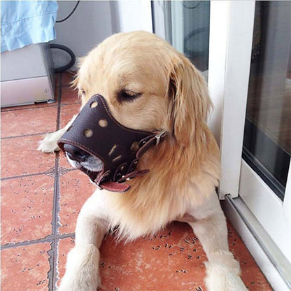 Leather Dog Muzzle for Safe and Comfortable Control