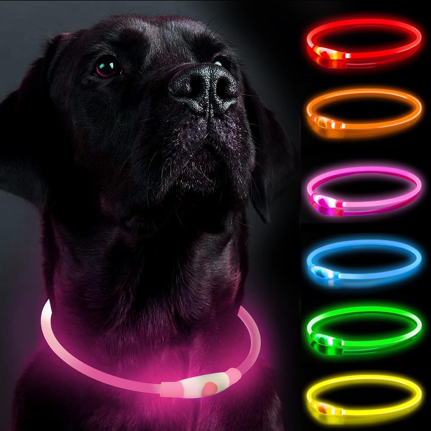 Glowing dog collar best sale